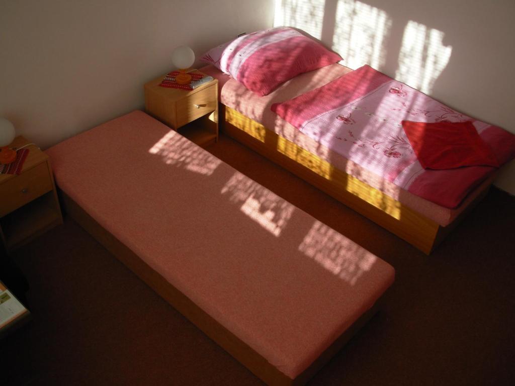 Penzion Hlinkova プルゼニ エクステリア 写真