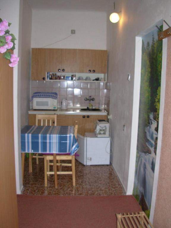 Penzion Hlinkova プルゼニ 部屋 写真